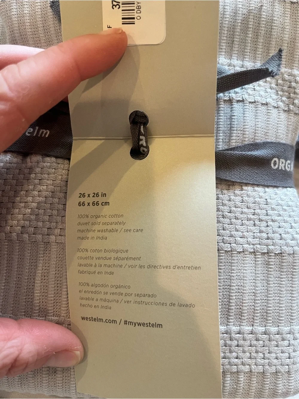 West Elm Dobby Ladder Stripe Euro Sham
